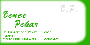 bence pekar business card